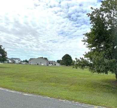 Lovely cleared golf course lot located in the amenity-rich - photo 3