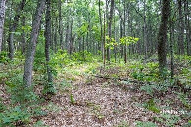 Sweet Lake - Muskegon County Acreage For Sale in Twin Lake Michigan