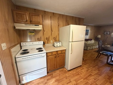 Turnkey, fully operating & equipped resort complex on Reelfoot - photo 25
