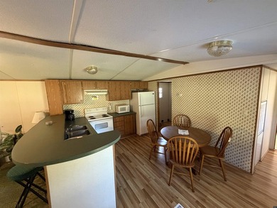Turnkey, fully operating & equipped resort complex on Reelfoot - photo 27