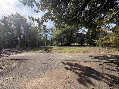 Turnkey, fully operating & equipped resort complex on Reelfoot - photo 30