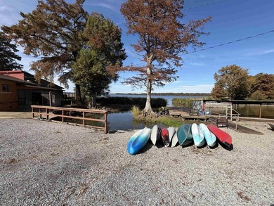 Turnkey, fully operating & equipped resort complex on Reelfoot - photo 37