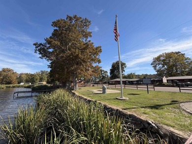 Turnkey, fully operating & equipped resort complex on Reelfoot - photo 40