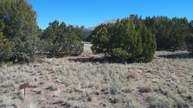 Lake Lot For Sale in Concho, Arizona