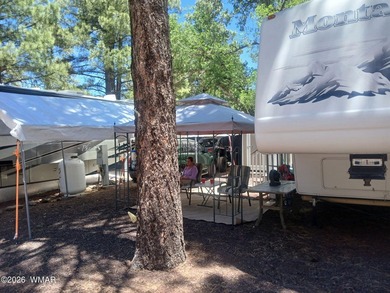 Lake Home For Sale in Lakeside, Arizona