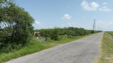 (private lake, pond, creek) Acreage For Sale in Bayside Texas