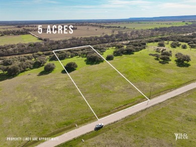 Lake Acreage Off Market in Mineral Wells, Texas