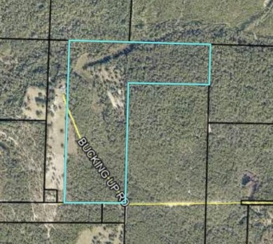  Acreage For Sale in Laurel Hill Florida