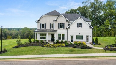 Lake Freeman Home For Sale in Senoia Georgia