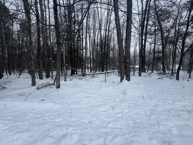 Lake Wallenpaupack Lot Sale Pending in Lake Ariel Pennsylvania