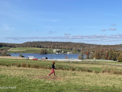 (private lake, pond, coastal) Acreage Sale Pending in Equinunk Pennsylvania