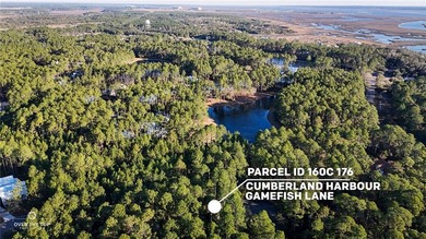 Build your custom coastal home on this 0.31-acre homesite - photo 1