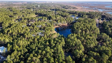 Build your custom coastal home on this 0.31-acre homesite - photo 5