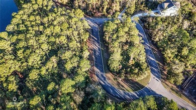 Build your custom coastal home on this 0.14-acre homesite - photo 2
