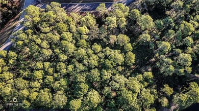 Build your custom coastal home on this 0.14-acre homesite - photo 3