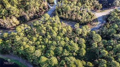 Build your custom coastal home on this 0.14-acre homesite - photo 4