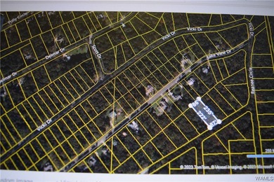 Million Dollar Lake Lot For Sale in Lake View Alabama