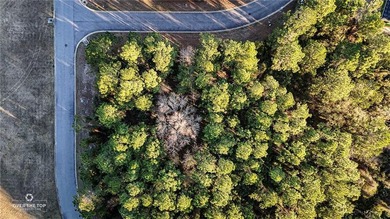 Build your custom coastal home on this 0.21-acre homesite - photo 3