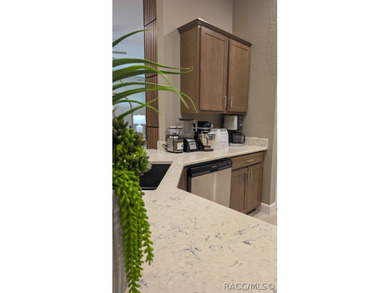 Welcome to your new home in Oak Village of Sugarmill Woods - photo 20