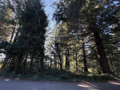 Tucked just outside of town, this serene one-acre parcel offers - photo 4