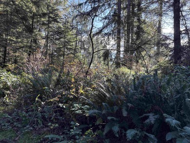 Tucked just outside of town, this serene one-acre parcel offers - photo 6