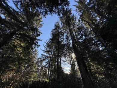 Tucked just outside of town, this serene one-acre parcel offers - photo 8
