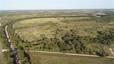 Smith Lake Commercial For Sale in Mcdade Texas