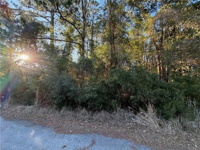 Beautiful buildable wooded lot tucked away on a quiet cul-de-sac - photo 1