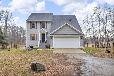 (private lake, pond, creek) Home For Sale in Manchester Michigan