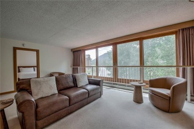 Lake Condo For Sale in Keystone, Colorado