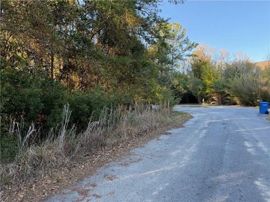Beautiful buildable wooded lot tucked away on a quiet cul-de-sac - photo 3