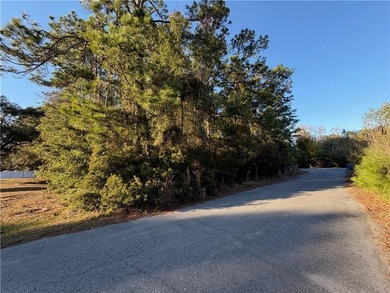 Beautiful buildable wooded lot tucked away on a quiet cul-de-sac - photo 4