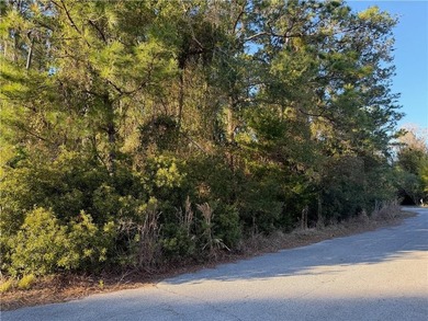 Beautiful buildable wooded lot tucked away on a quiet cul-de-sac - photo 5