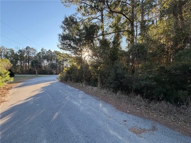 Beautiful buildable wooded lot tucked away on a quiet cul-de-sac - photo 6