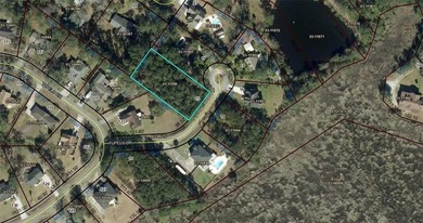 Beautiful buildable wooded lot tucked away on a quiet cul-de-sac - photo 8