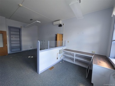 Exceptional opportunity to own a piece of history in the heart - photo 11