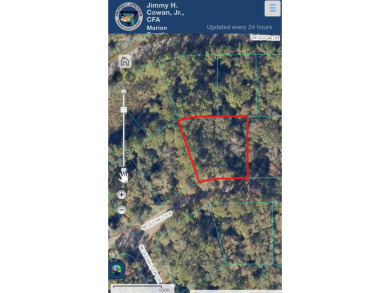 Lake Weir Lot For Sale in Ocklawaha Florida