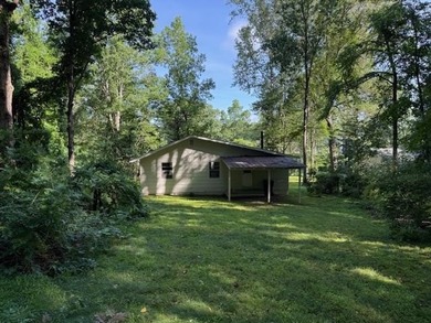 Nice Chalet Style 2 Bedroom, 2 Bath Home Overlooking Lake Louisa - photo 36