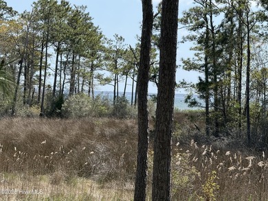 Low country elegance with beautiful Neuse River views has this 3 - photo 48