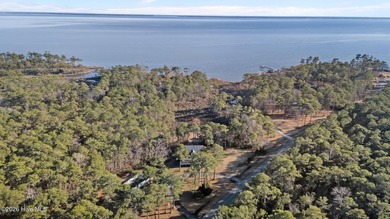 Low country elegance with beautiful Neuse River views has this 3 - photo 49