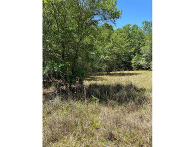 Withlacoochee River Lot For Sale in Inverness Florida