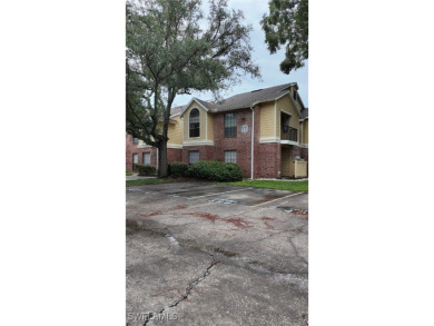 (private lake, pond, creek) Townhome/Townhouse For Sale in Tampa Florida