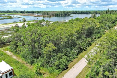 Lehigh Acres Area Lot For Sale in Lehigh Acres Florida