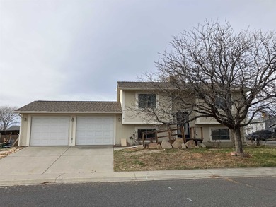 Colorado River Home For Sale in Clifton Colorado