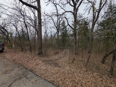 Lake Lot For Sale in Gun Barrel City, Texas