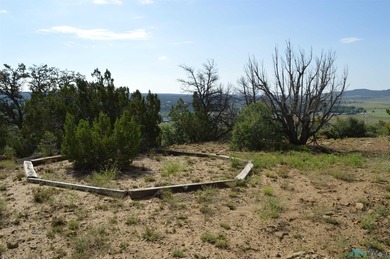 Ramah Reservoir Acreage For Sale in Ramah New Mexico