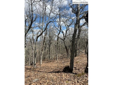 An incredible opportunity to build just minutes from downtown - photo 3