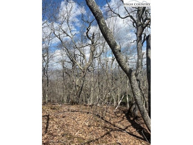 An incredible opportunity to build just minutes from downtown - photo 4