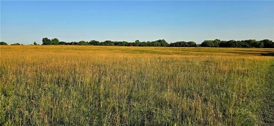 The Hillsdale Ranch is over 260+ acres of gently rolling - photo 2