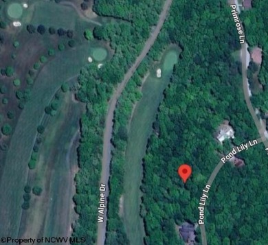 Alpine Lake Lot For Sale in Terra Alta West Virginia